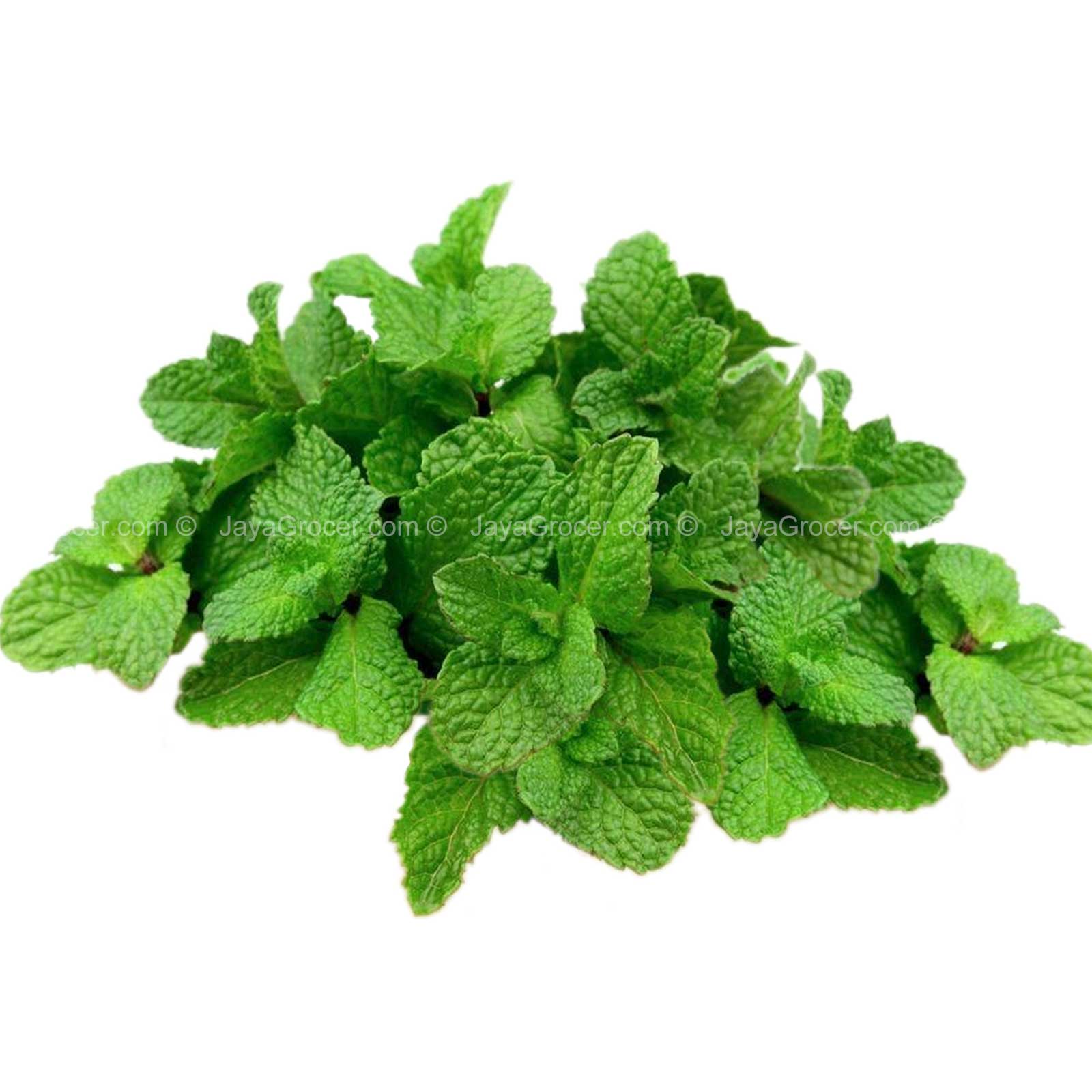 Mint Leaf Powder 100g - Green Cairo