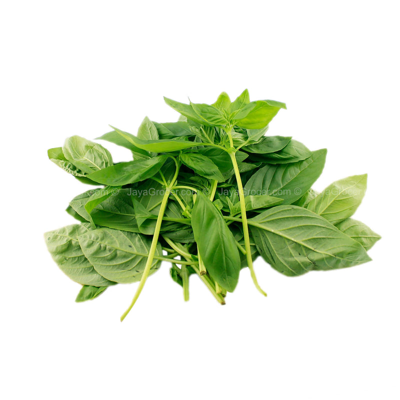 Cameron Garden Basil (Malaysia) 50g