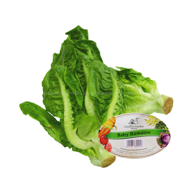 Cameron Garden Lettuce Baby Romaine (Malaysia) 200g