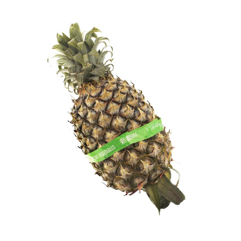 Josapine Pineapple (Malaysia) 1unit