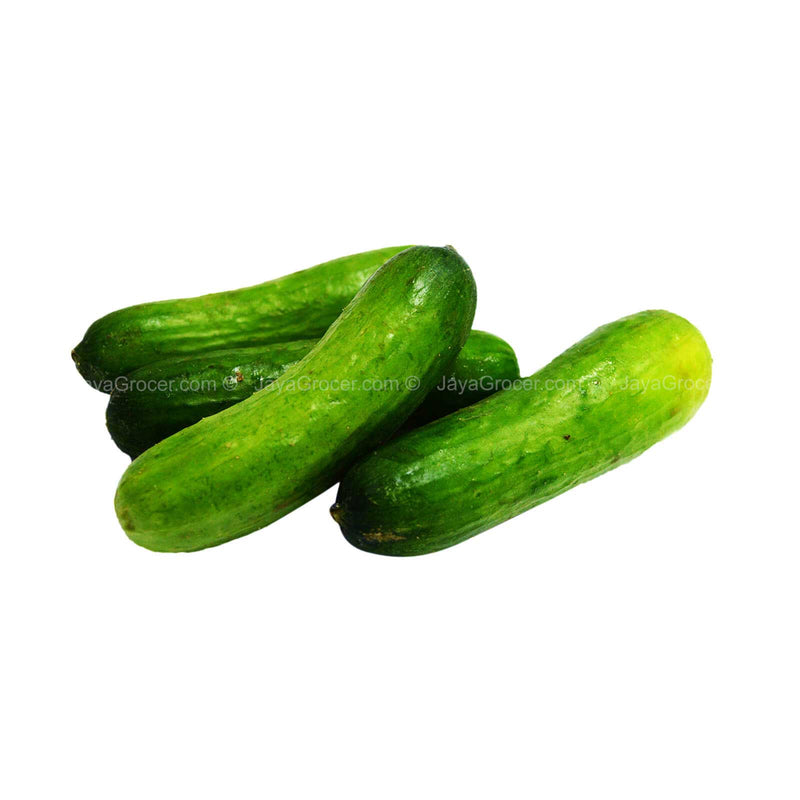 Paprika Farm Mini Crunchy Cucumber 300g