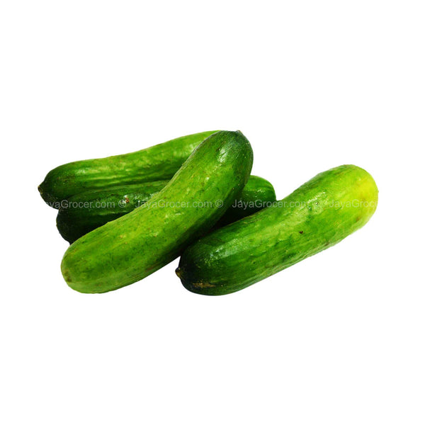 Paprika Farm Mini Crunchy Cucumber 300g (highest price)