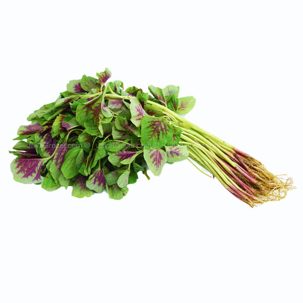 Summer Harvest Red Spinach (Bayam Merah) (Malaysia) 250g (highest price)