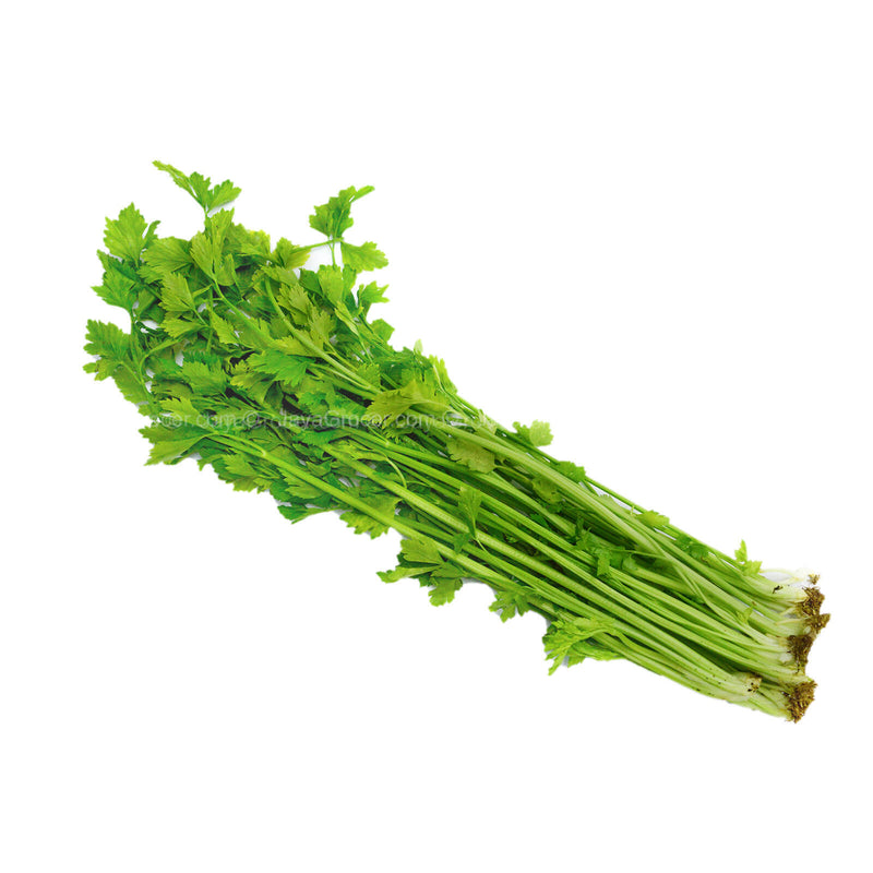 Chinese Celery (Daun Sup) (Malaysia) 100g