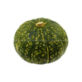 Pumpkin Kabocha (New Zealand) 1Unit