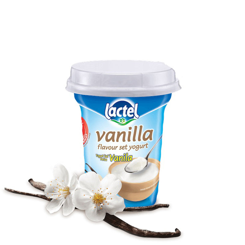 Lactel Vanilla Flavour Set Yogurt 470g