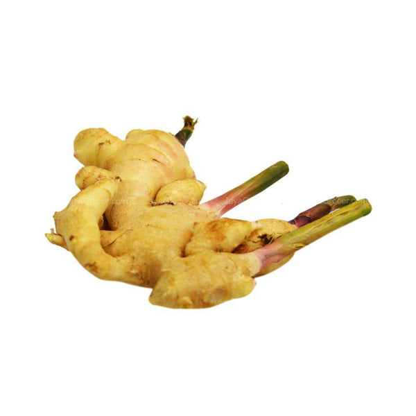 Young Ginger (Halia Muda) (Thailand) 200g (highest price)