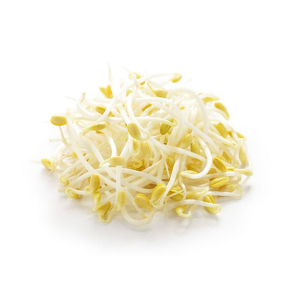 Favric Trading Bean Sprout (Taugeh Besar) (Malaysia) 500g (highest price)