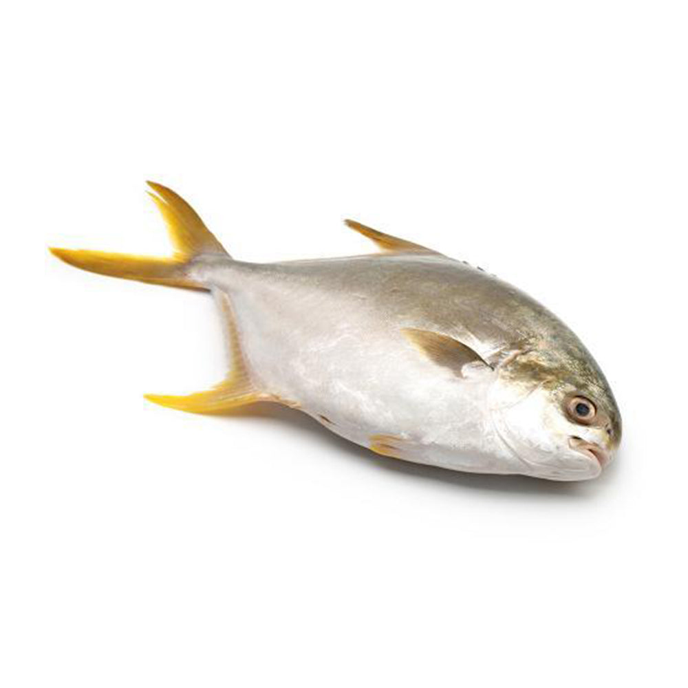 Ikan Bawal Emas 350g/pack