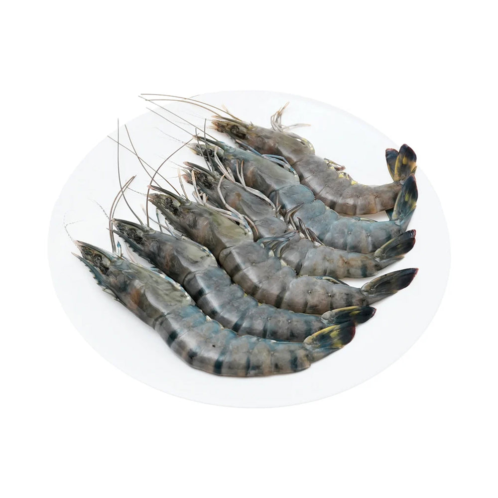 Udang Putih XL 300g