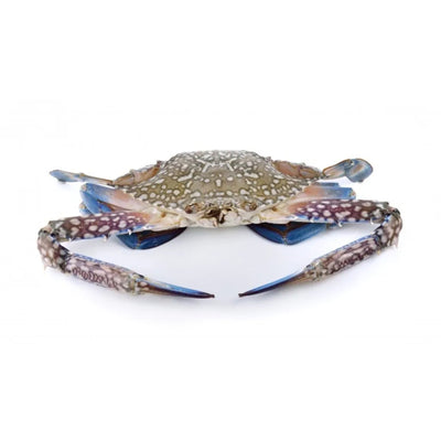Frozen Ketam Bunga 500g/pack