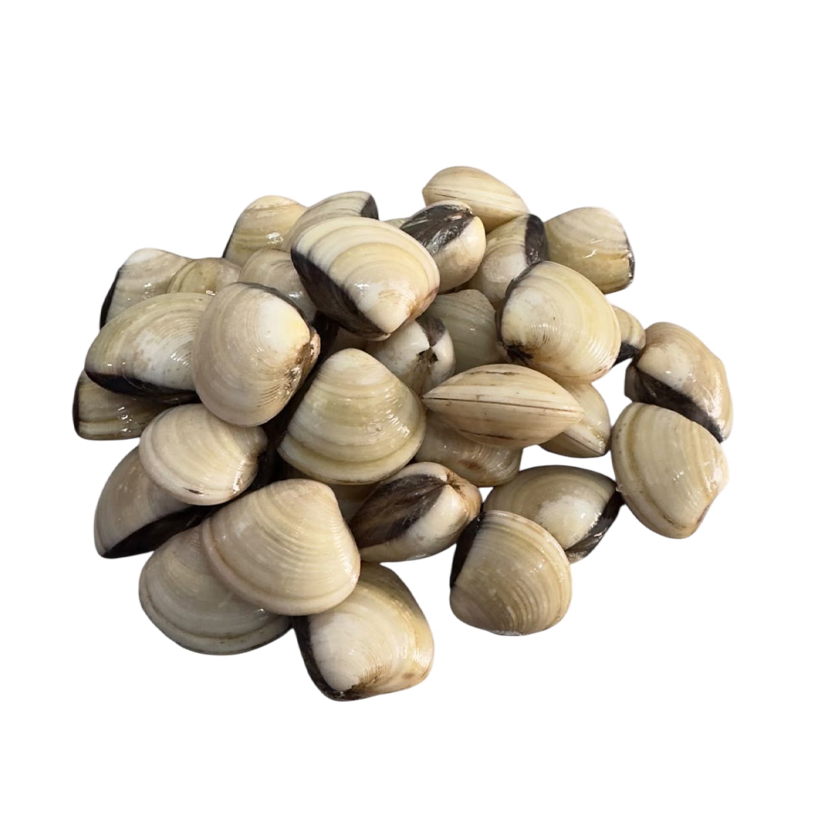 Kepah 500g/pack