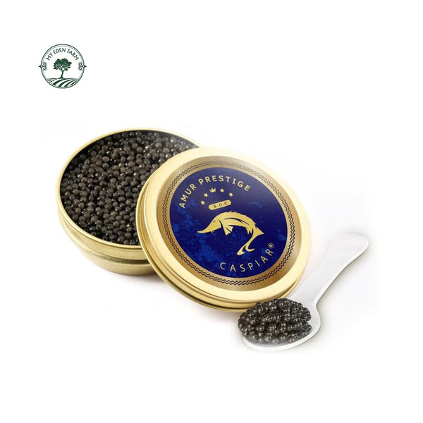 Caspiar Amur Prestige 30g