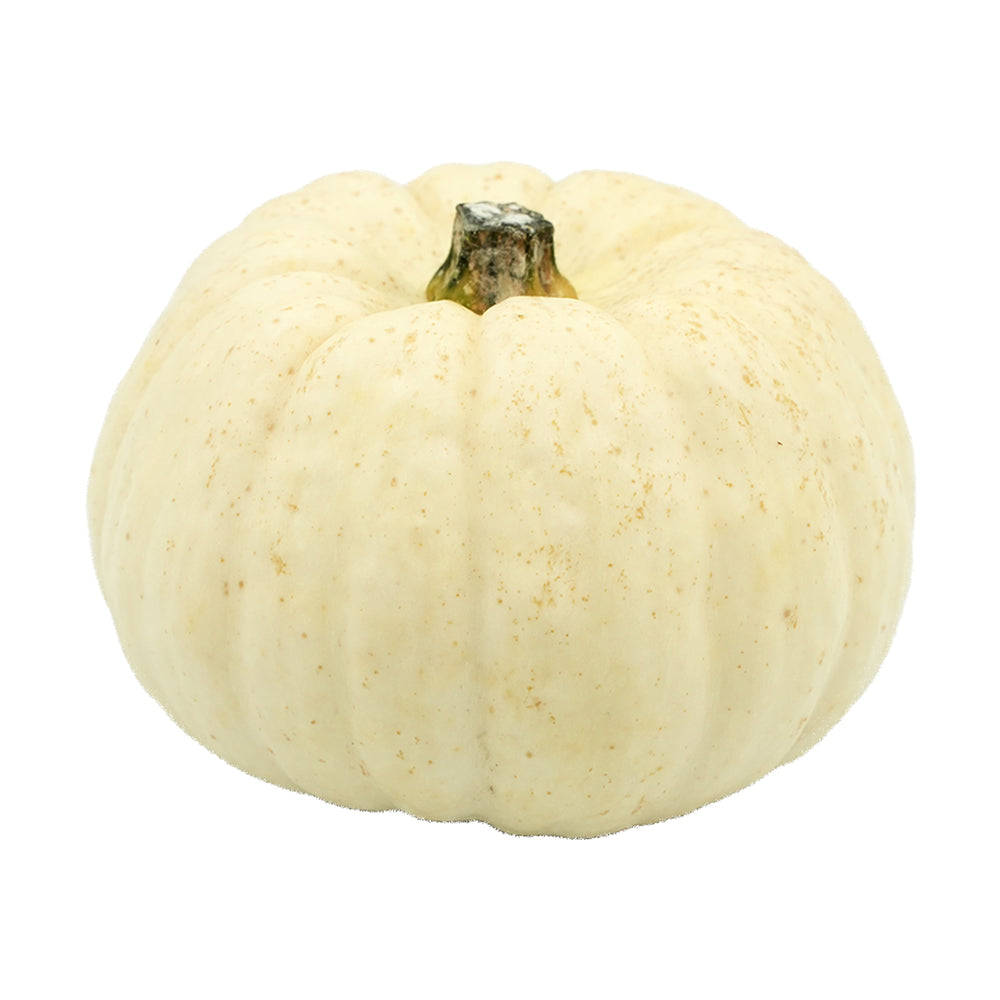 Cream White Bei Bei Pumpkin (China) 250g
