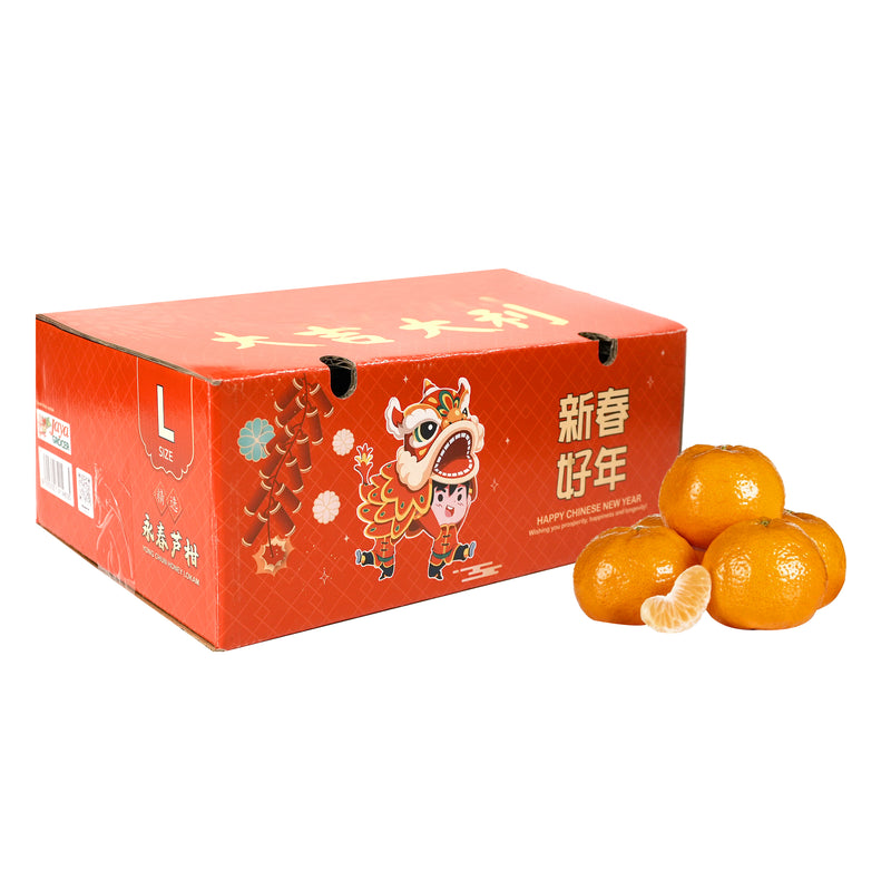 Lokam Yong Chun L-size 24pcs/pack